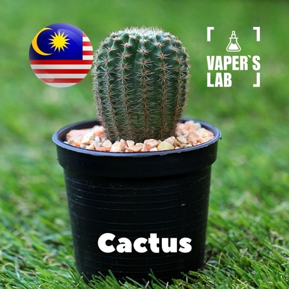 Фото на Ароматизаторы для вейпа Malaysia flavors Cactus