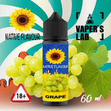 Купить жидкость для электронных сигарет Native Flavour Grape 60 ml