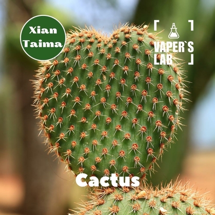 Фото, Видео, Аромки для самозамеса Xi'an Taima "Cactus" (Кактус) 