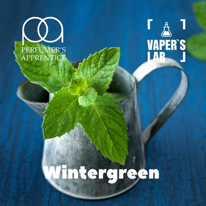 Фото, Відеоогляди на Набір для самозамісу TPA "Wintergreen" (Зимова прохолода) 