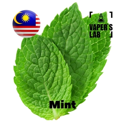 Фото на Ароматизаторы для вейпа Malaysia flavors Mint