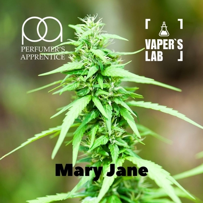 Фото, Відеоогляди на Преміум ароматизатори для електронних сигарет TPA "Mary Jane" (Марихуана) 