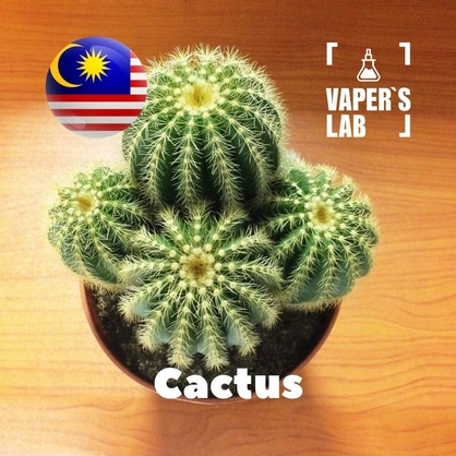 Фото на Ароматизаторы для вейпа Malaysia flavors Cactus