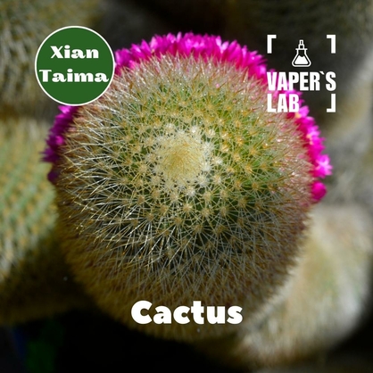 Фото, Видео, Аромки для самозамеса Xi'an Taima "Cactus" (Кактус) 