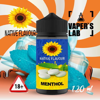 Фото жижа для вейпа native flavour menthol 120 ml