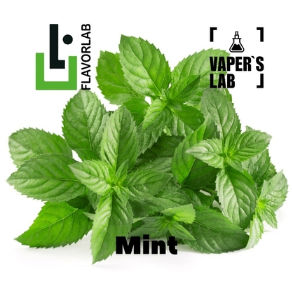 Фото, Відеоогляди на Аромку для вейпа Flavor Lab Mint 10 мл