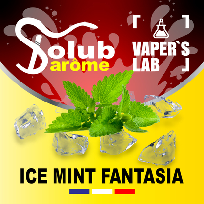 Фото, Видео, Ароматизатор для самозамеса Solub Arome "Ice mint fantasia" (Мята ментол и куллер) 