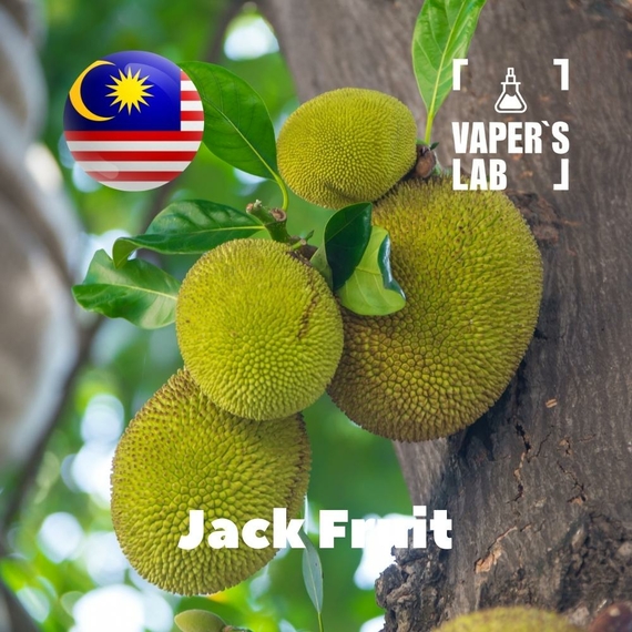 Відгуки на Аромки для вейпа Malaysia flavors Jack fruit